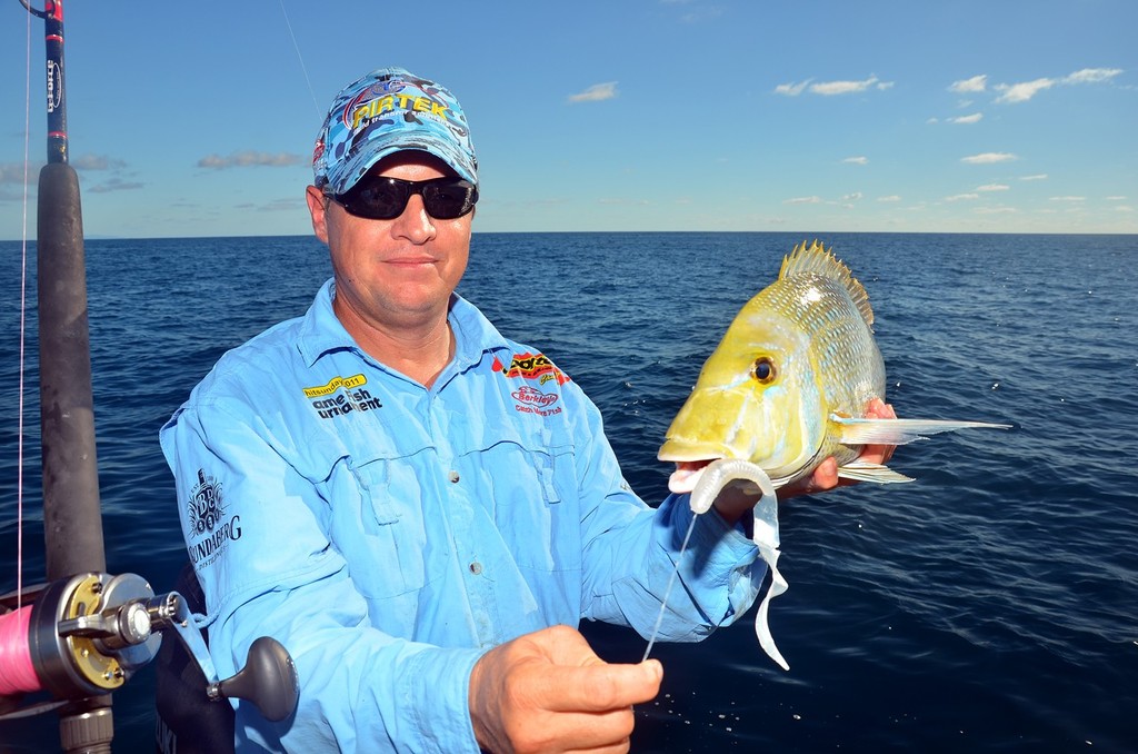 Once again a curl tail on a paternoster rig.  Spangled emperor love these lures and Jamie Evans had a knack for hooking them. © Lee Brake